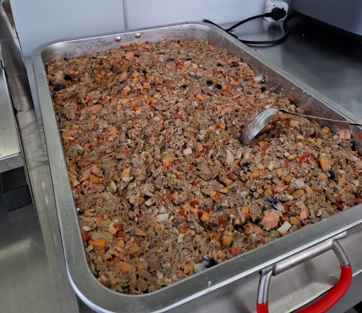 狗狗即食鮮食包 - 美毛三文魚牛肉餐